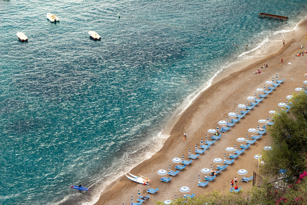 people on beach during daytime