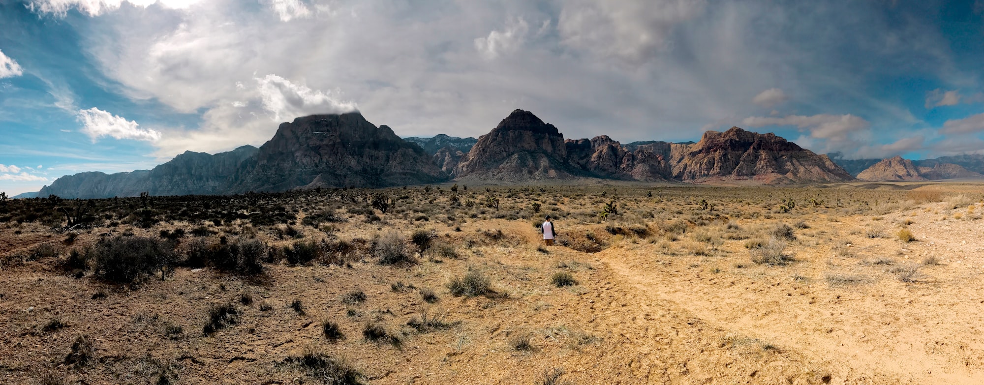 A man is standing under a cloudy sky in front of a Rocky Mountain range in the desert.