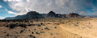 person in white shirt walking on brown field during daytime nevada google meet background