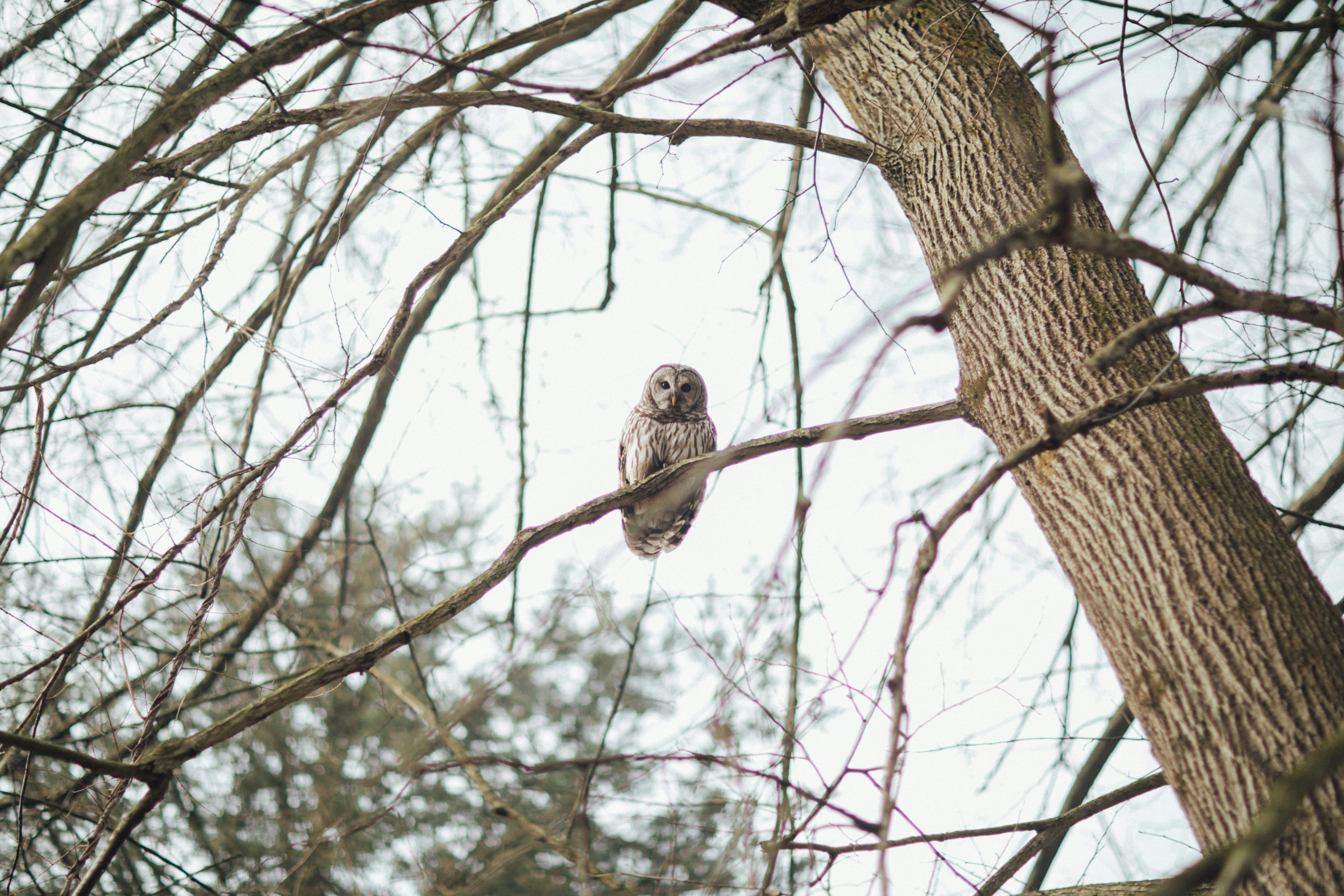 Photo by maddyhuntphoto