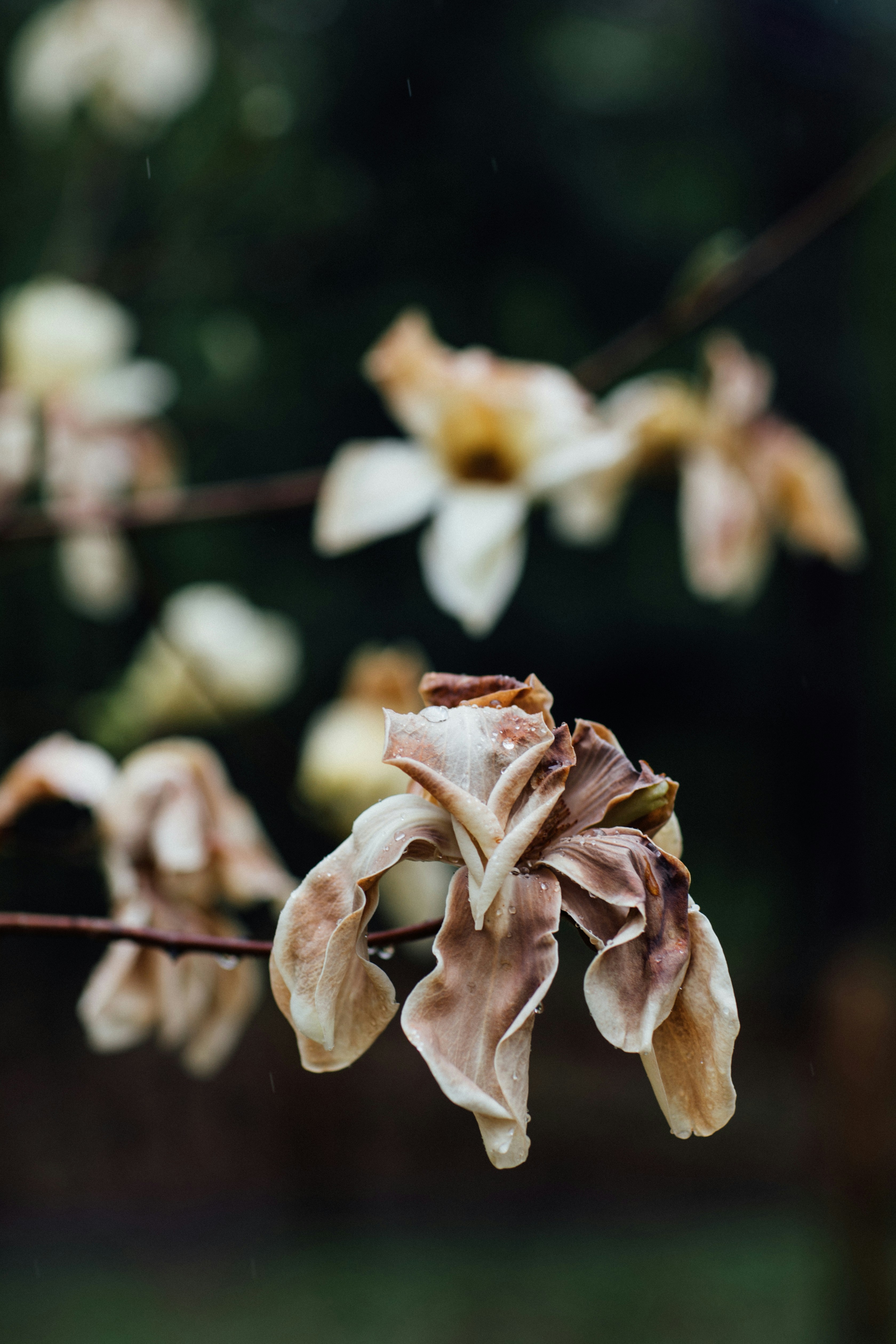 Photo by maddyhuntphoto