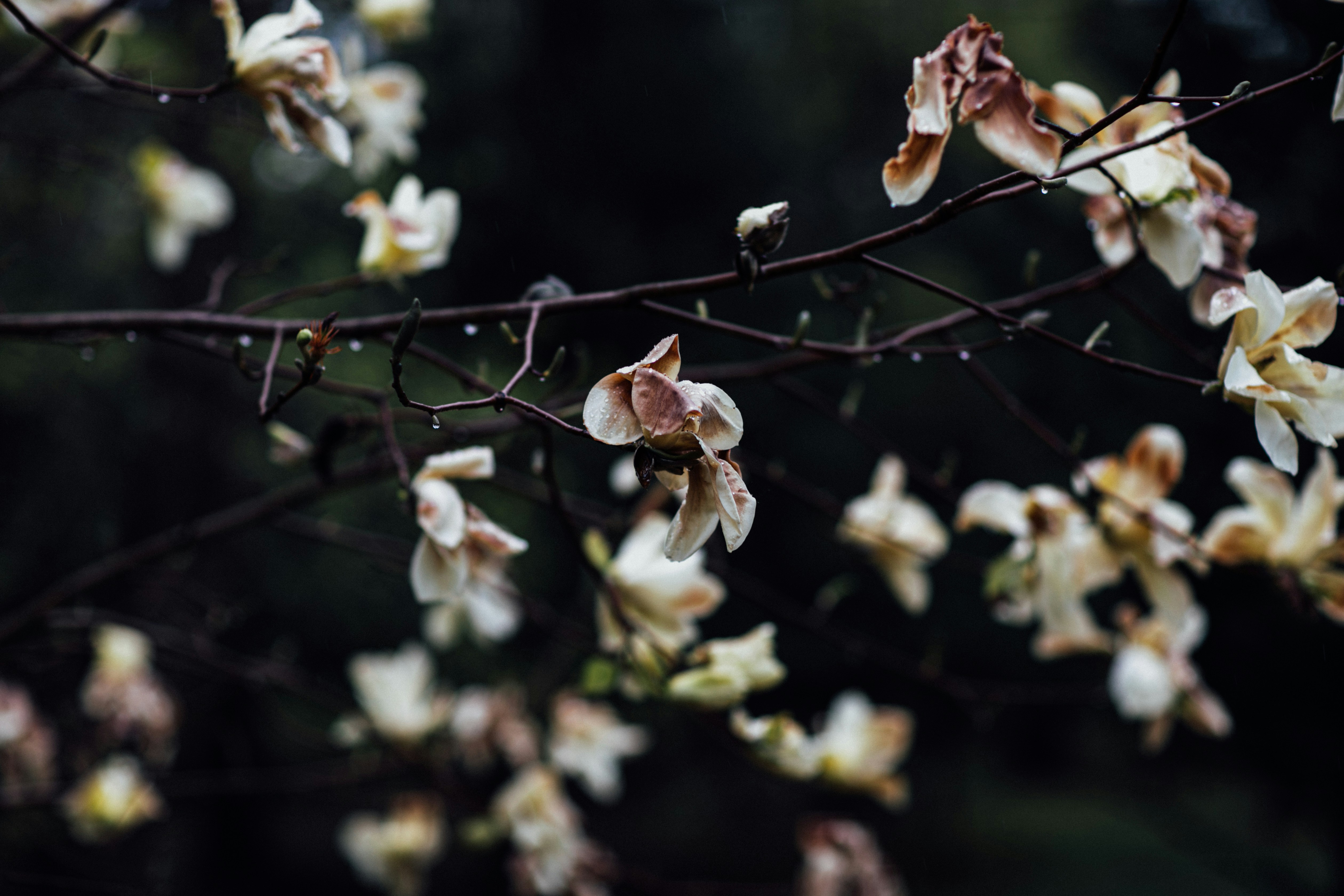 Photo by maddyhuntphoto