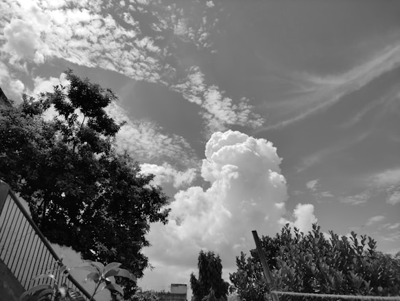 A cloudy sky with dense cumulus clouds and scattered cirrus clouds fills the backdrop. In the foreground, there is lush vegetation, with a large tree to the left and various bushes below. A slanted railing leads down to the lower left.