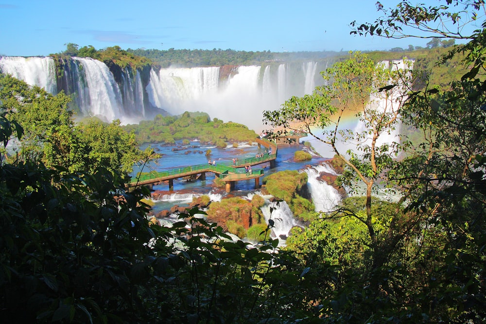 green trees near water falls during daytime