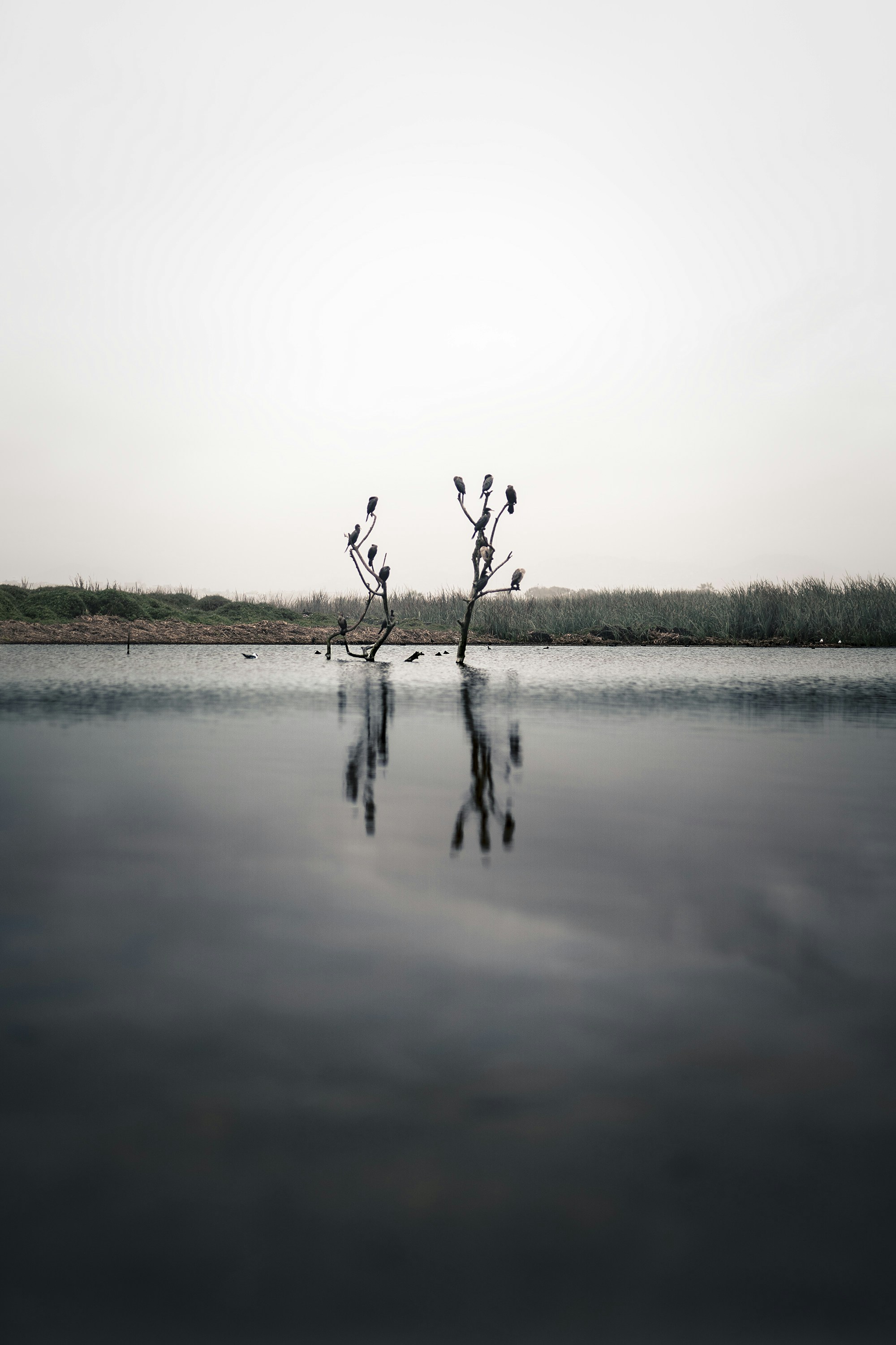 Photo by mauriciogutierreztello