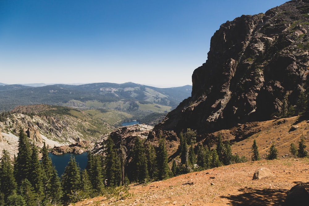 green trees on mountain during daytime