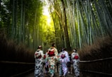 people in forest during daytime