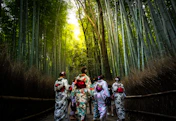 people in forest during daytime