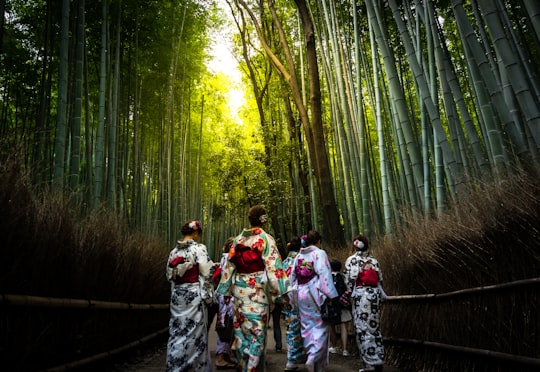 people in forest during daytime in Arashiyama Japan