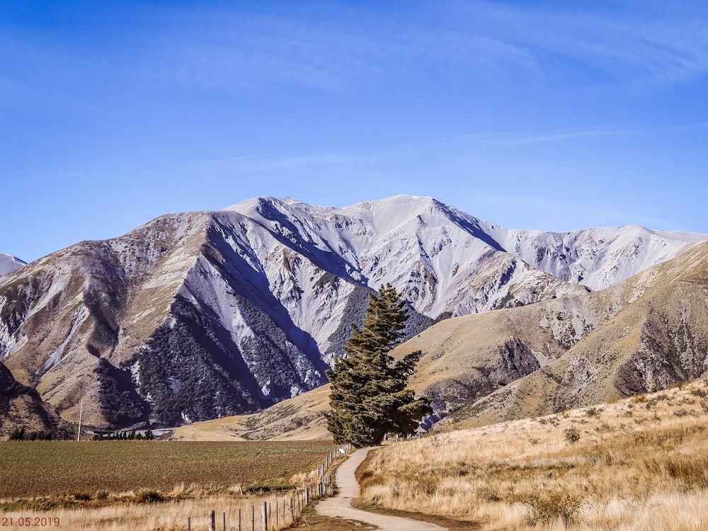 green trees near mountain under blue sky during daytime