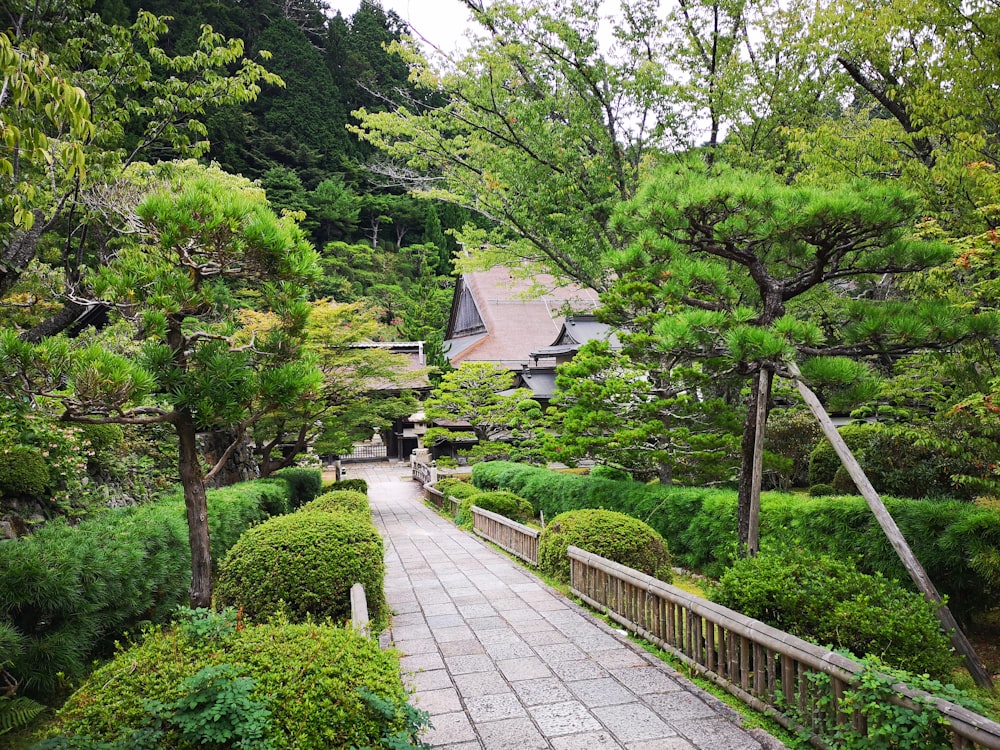 gray concrete pathway between green trees during daytime