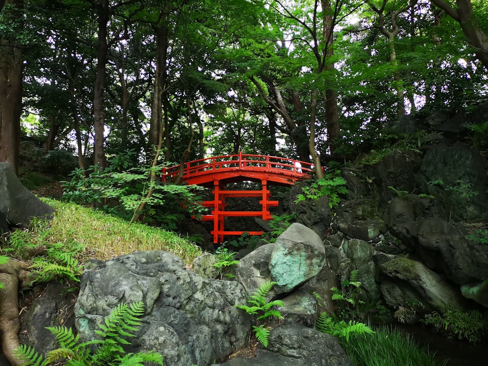 red wooden bench near green trees during daytime