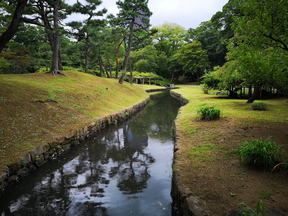 green grass and trees beside river during daytime