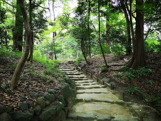 gray concrete stairs between green trees during daytime in Koishikawa Japan