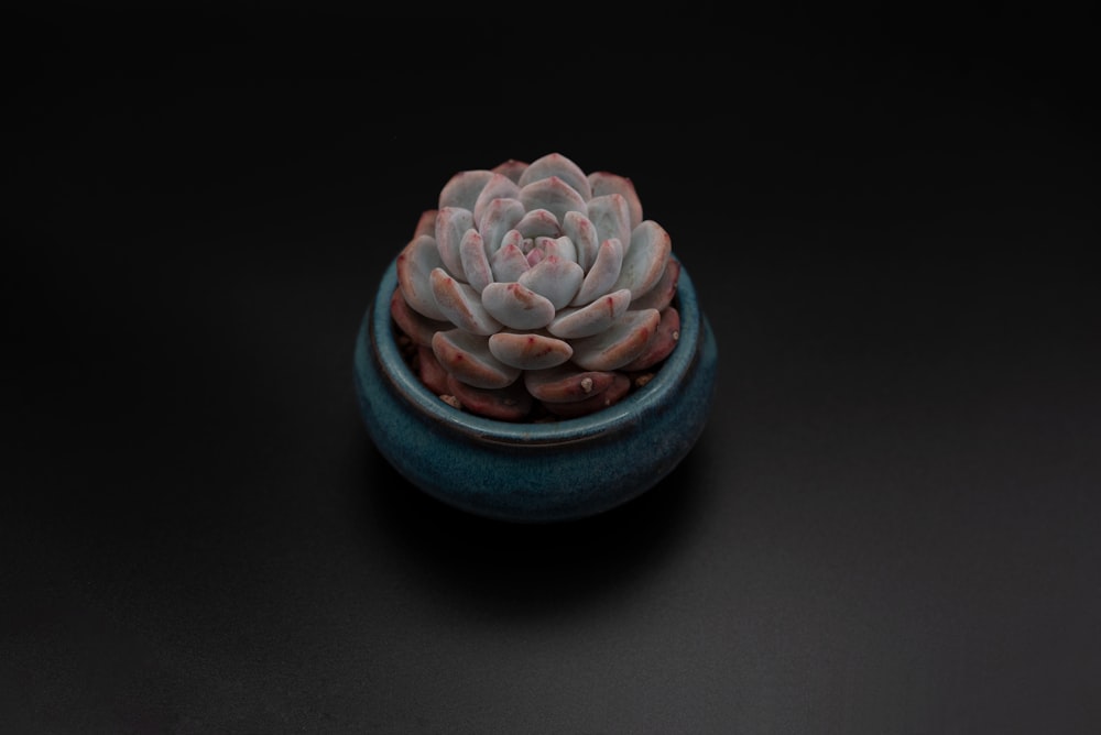 pink flower shaped clay pot