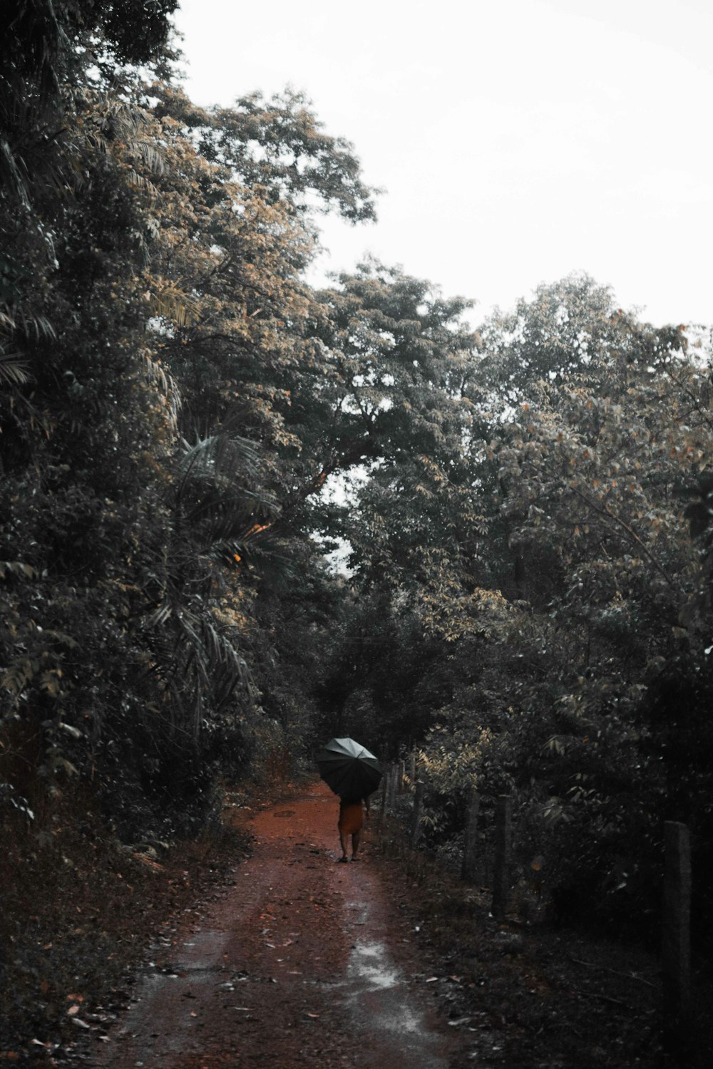 person in black jacket and red backpack walking on pathway between green trees during daytime