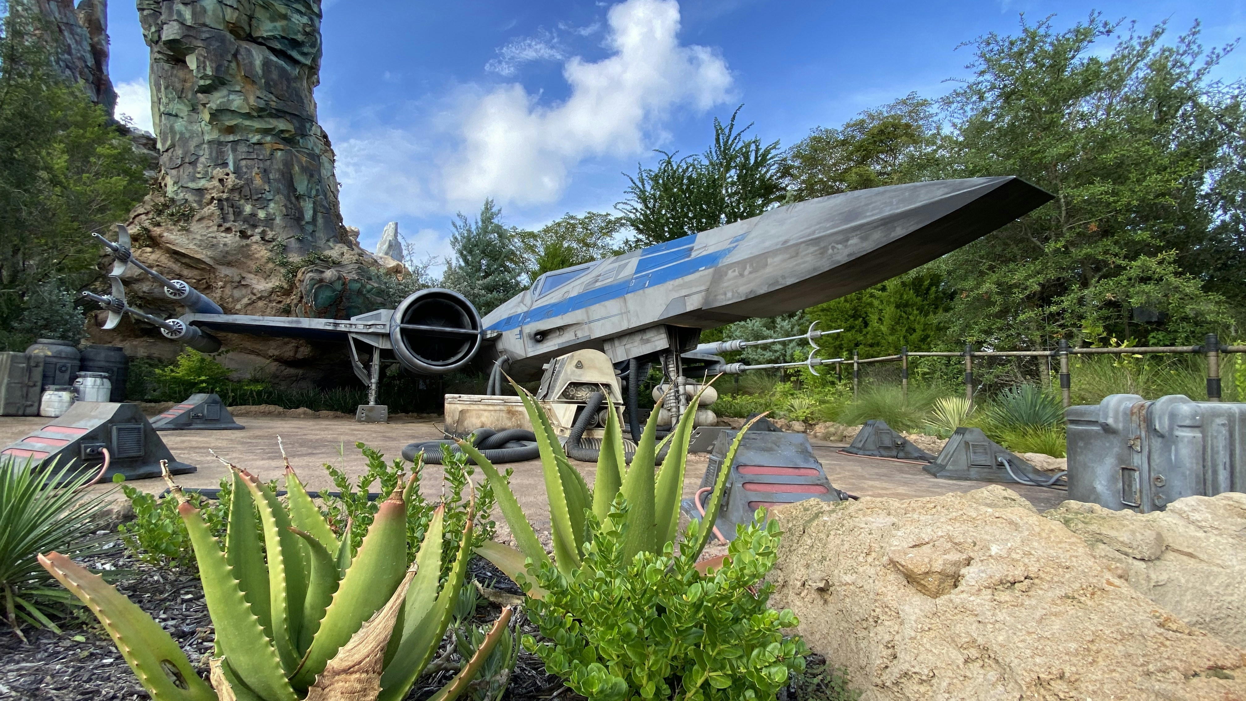 Photo by scarlett_jedi