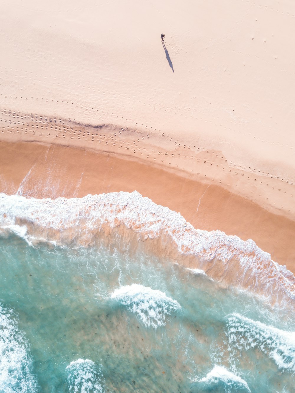 bird flying over the sea waves