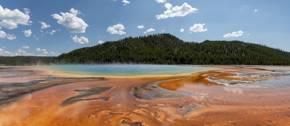 green trees and brown sand under blue sky during daytime