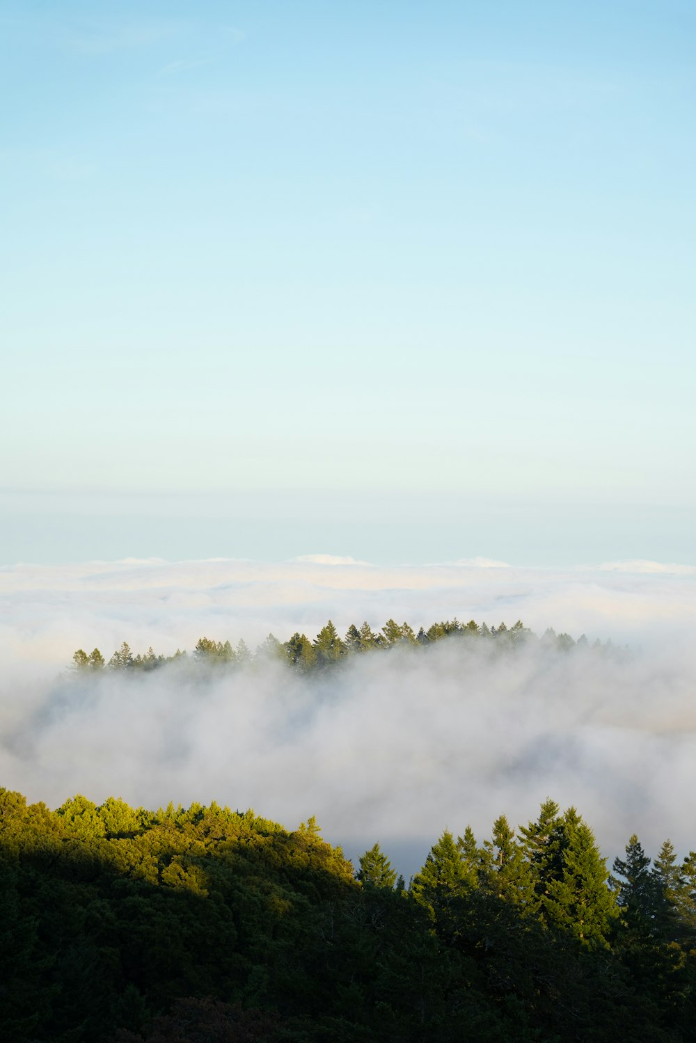 green trees on mountain under white clouds during daytime