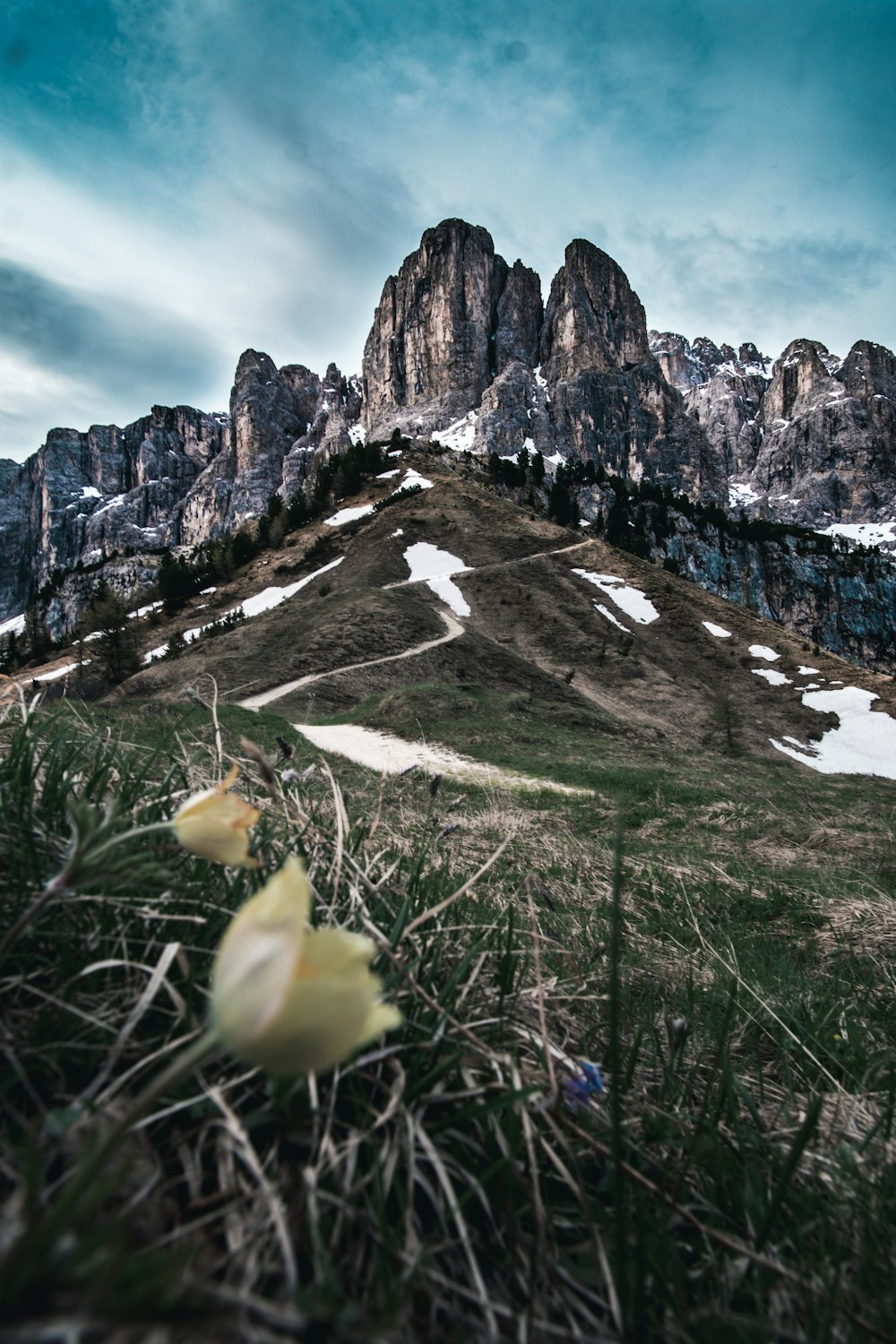 Campo de hierba verde cerca de las Montañas Rocosas durante el día