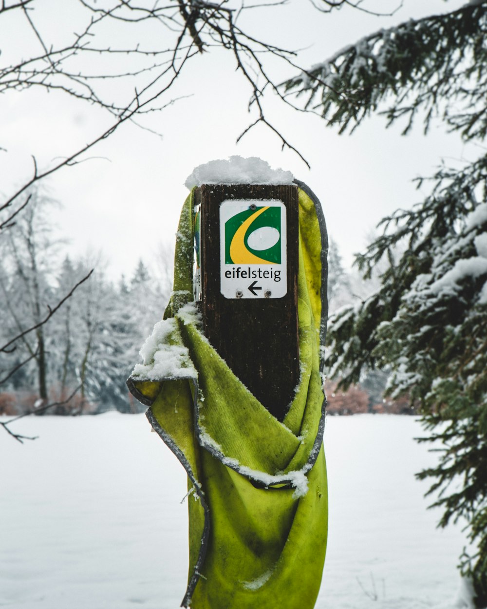 green and black snow covered tree