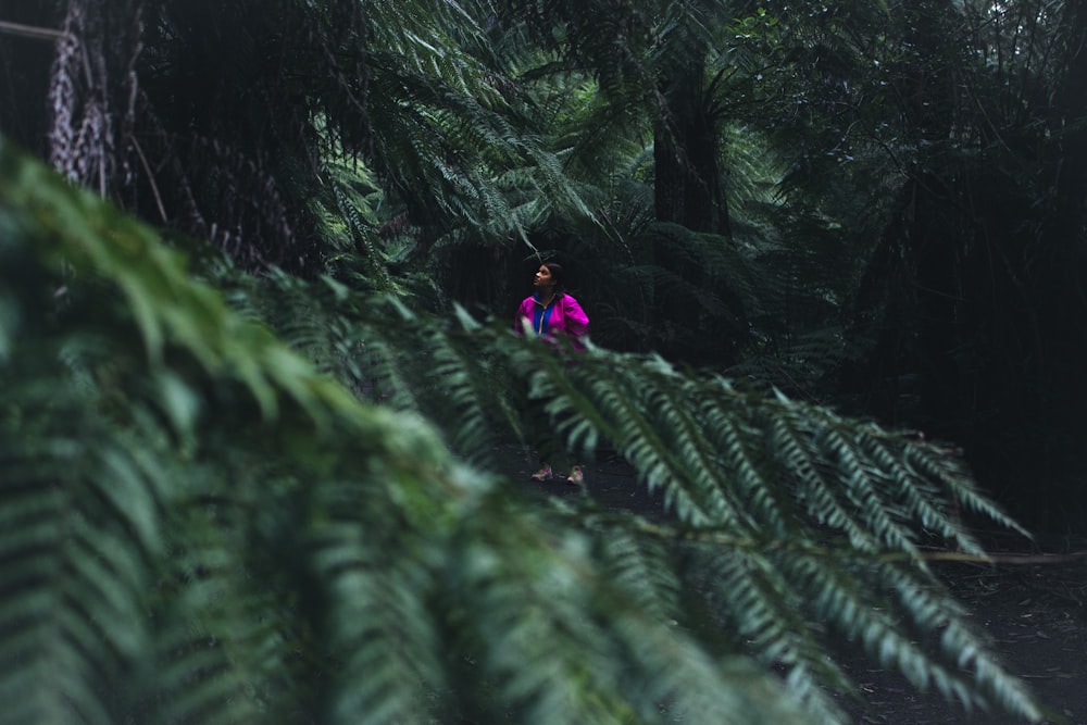 person in blue jacket and black pants walking on green leaves