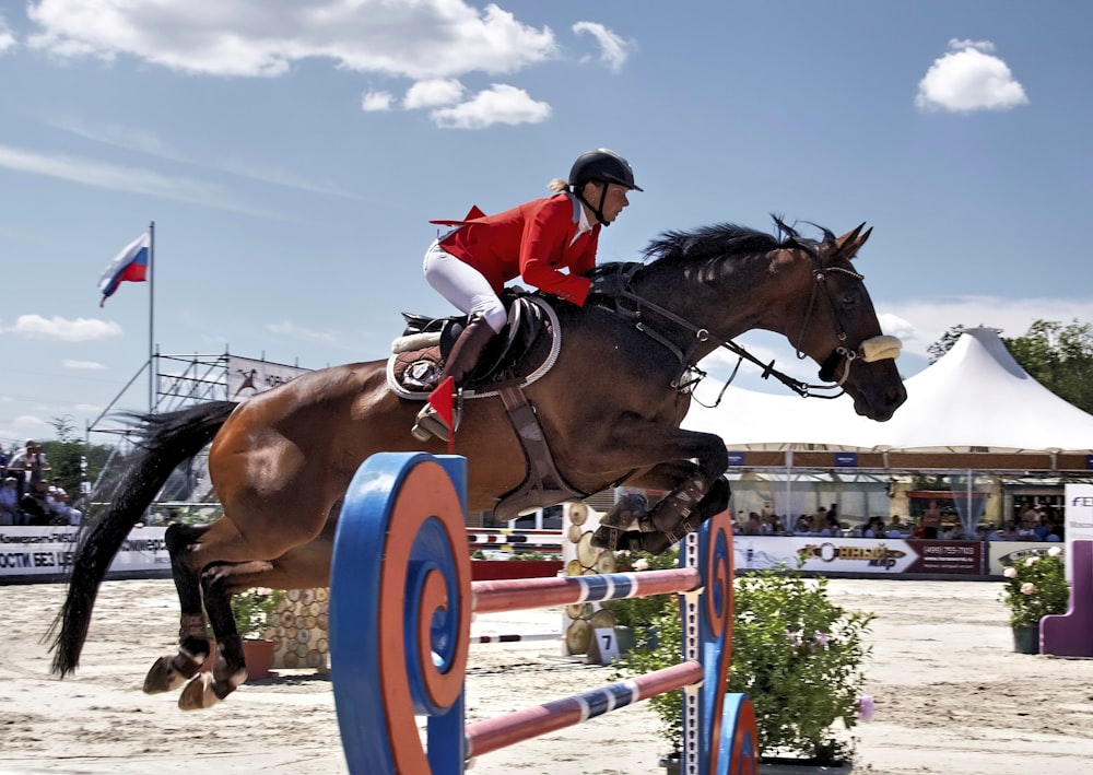 brown horse with red and white helmet riding on brown horse during daytime