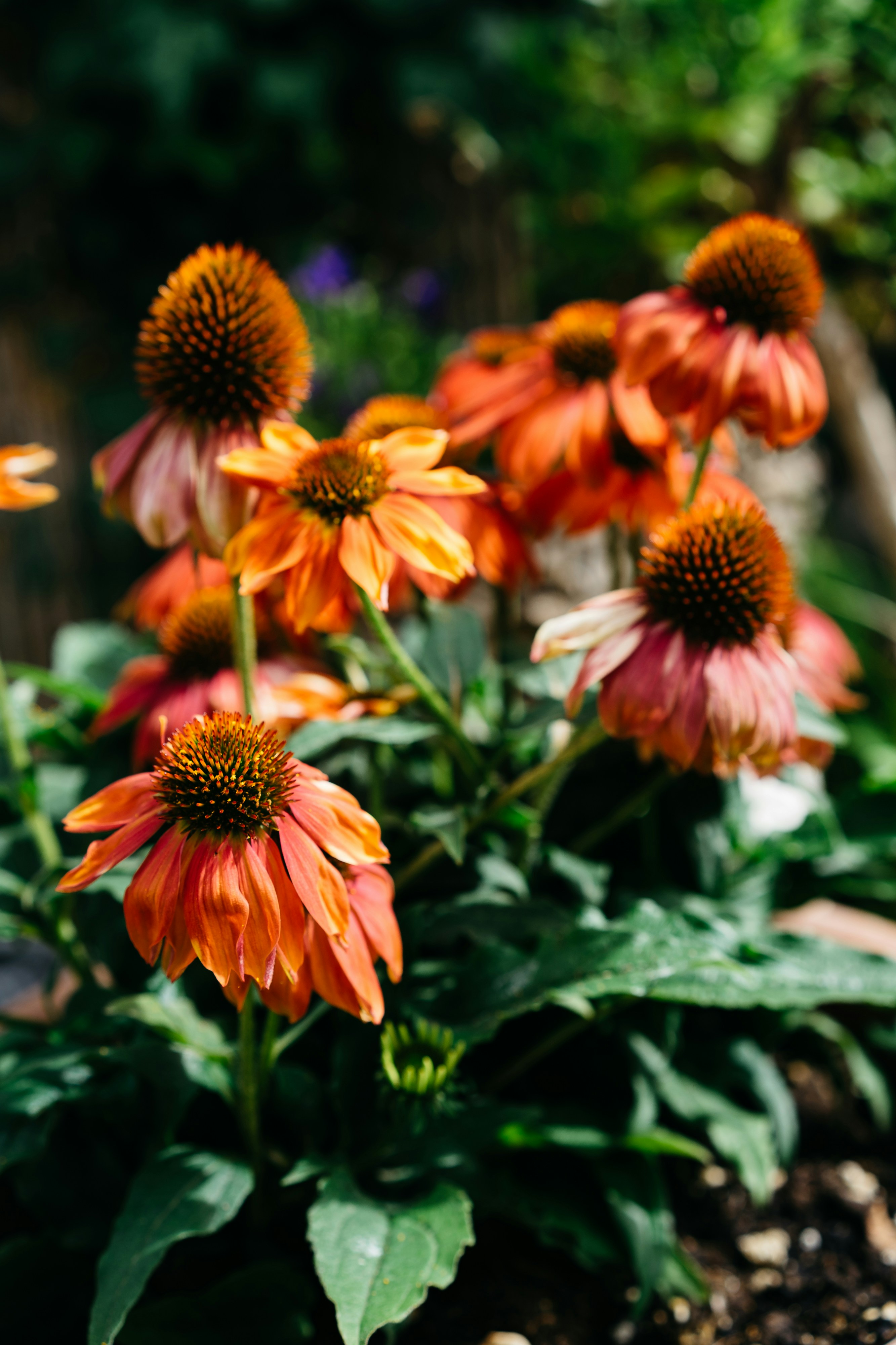 Photo by markuswinkler