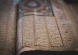 brown and black book page
