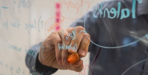 person holding orange flower petals