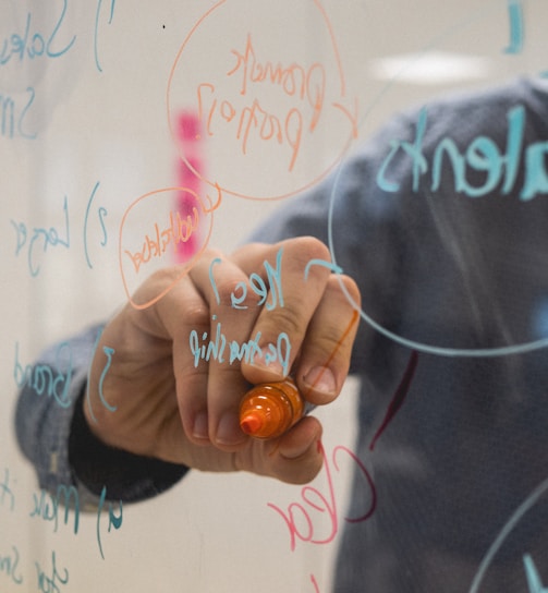 person holding orange flower petals