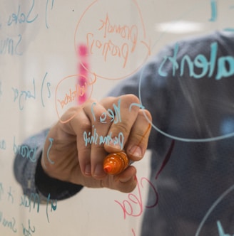 person holding orange flower petals