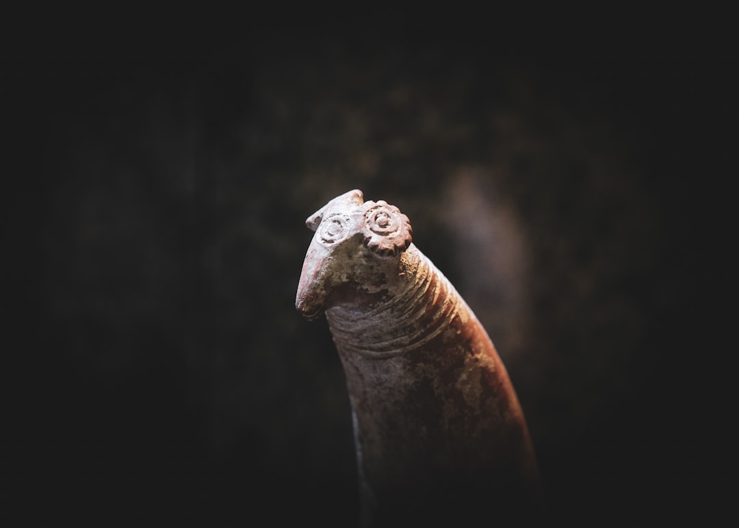 brown animal skull with black background