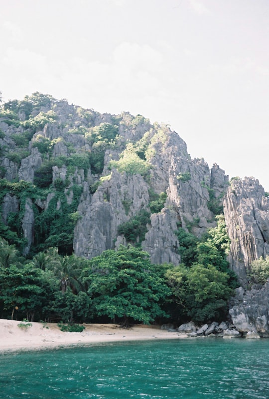 green trees on mountain during daytime in Coron Island Philippines