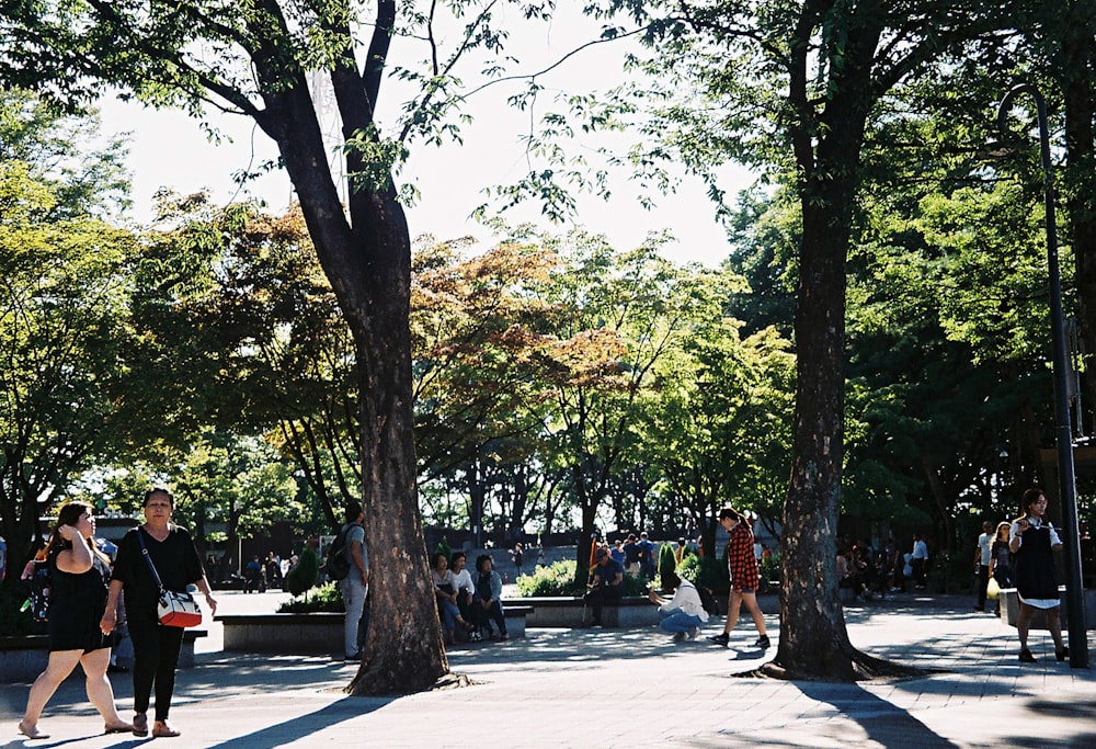 people sitting on bench under green trees during daytime