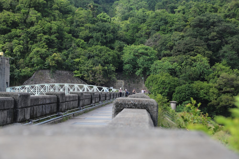 people walking on bridge over river during daytime