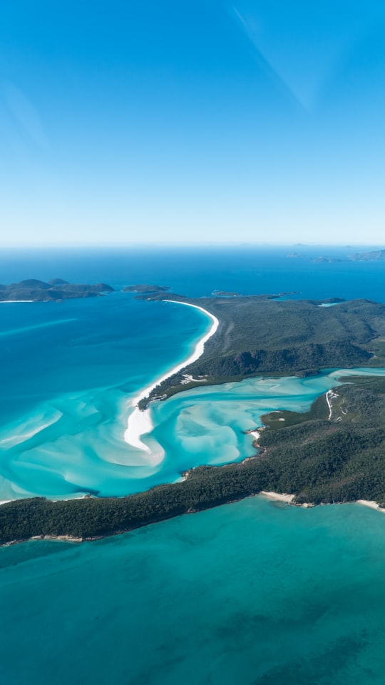 aerial view of green trees and blue sea during daytime in Whitsunday Islands National Park Australia