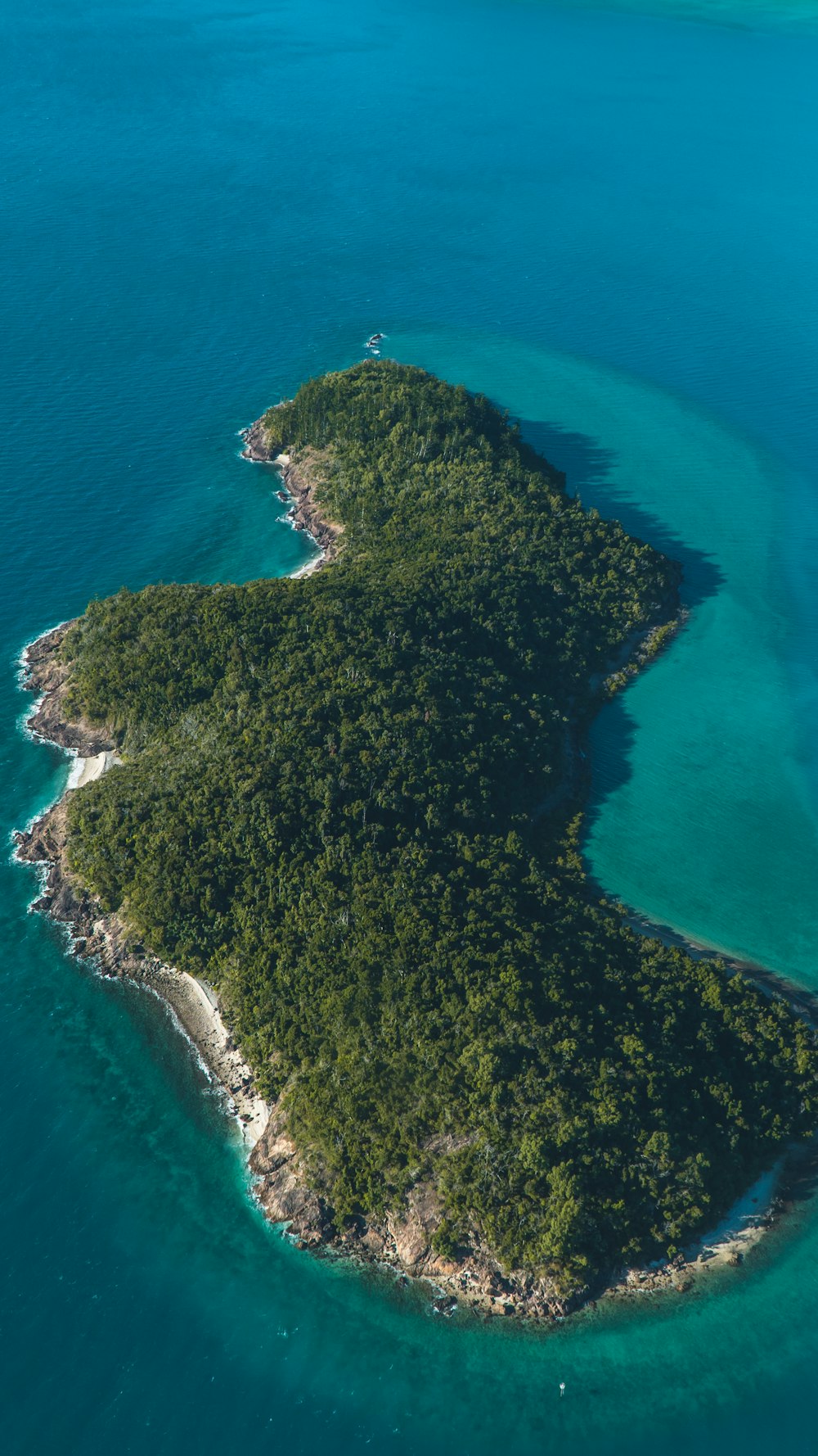 green trees on island during daytime