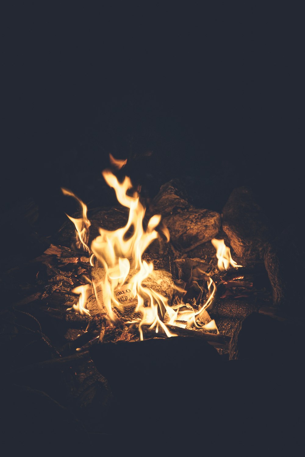 fire in the dark during night time