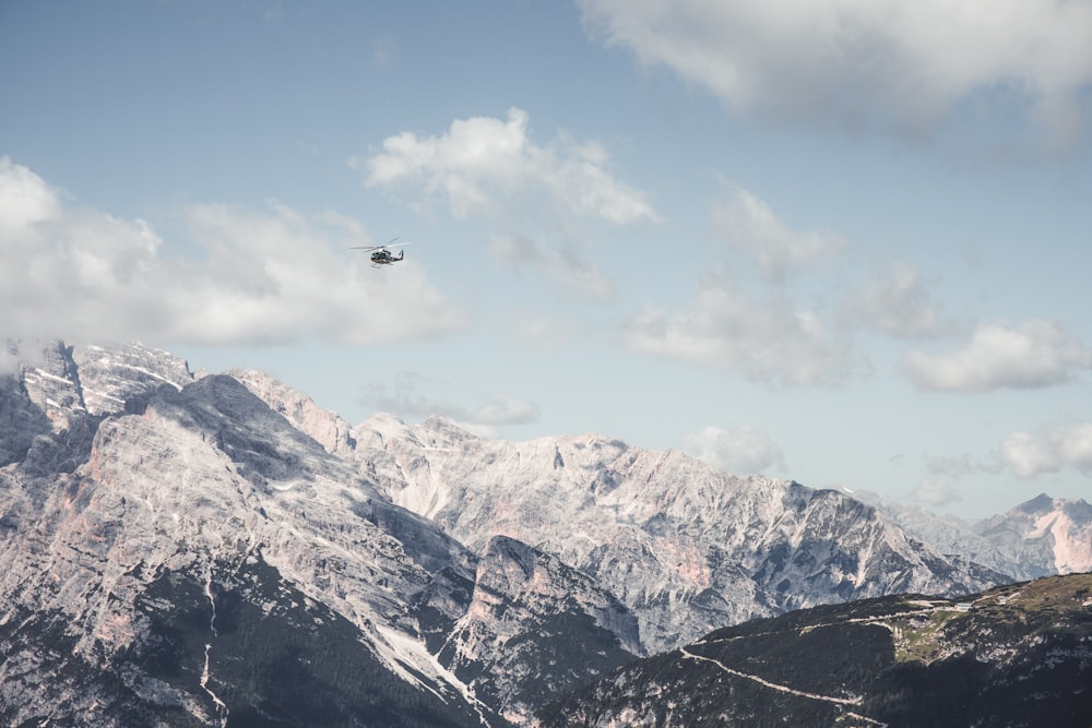 black bird flying over snow covered mountains during daytime