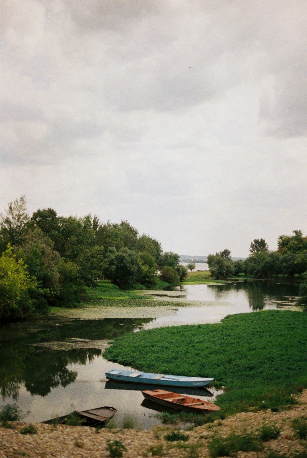 green trees beside river under white clouds during daytime