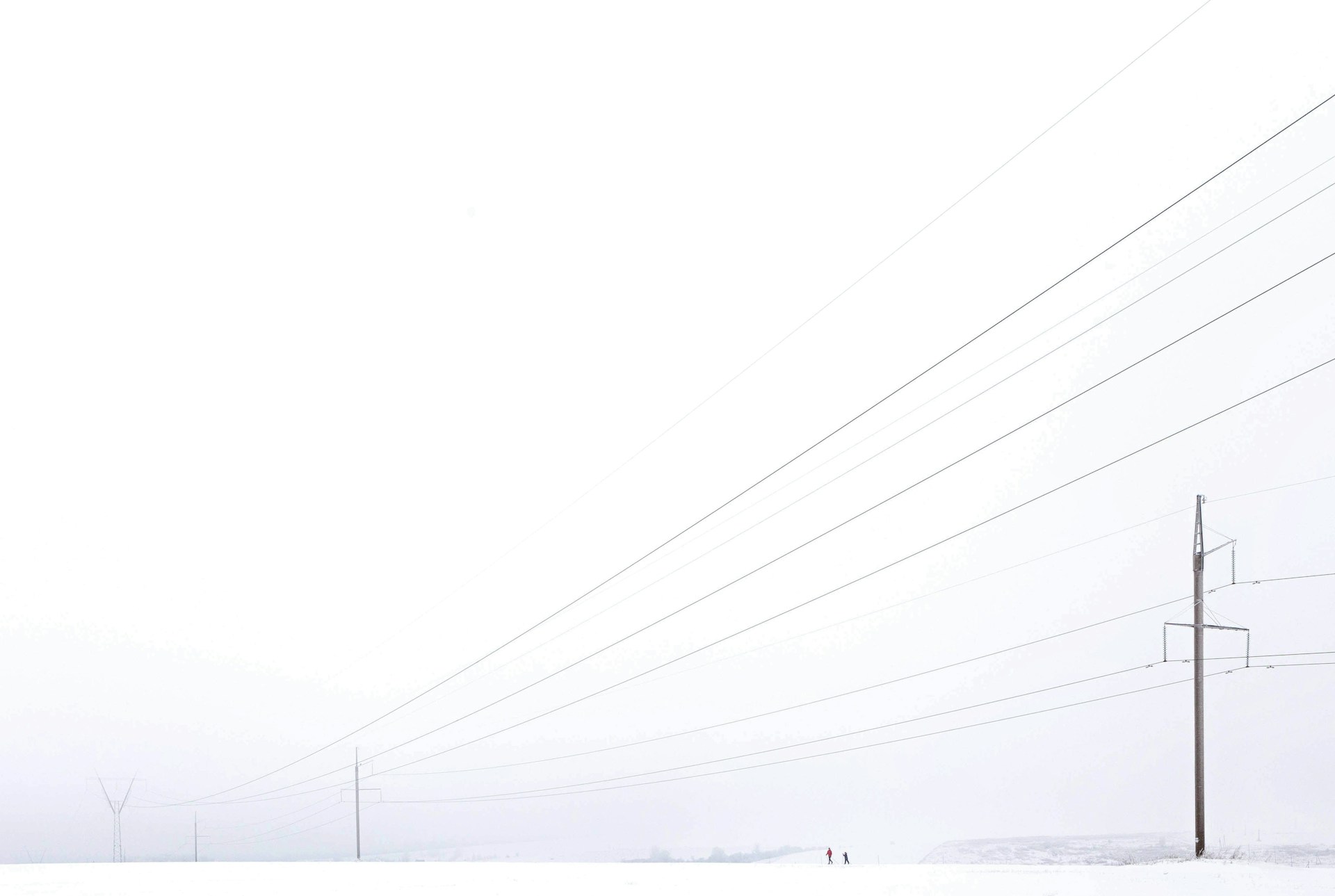 black electric wires under white sky during daytime