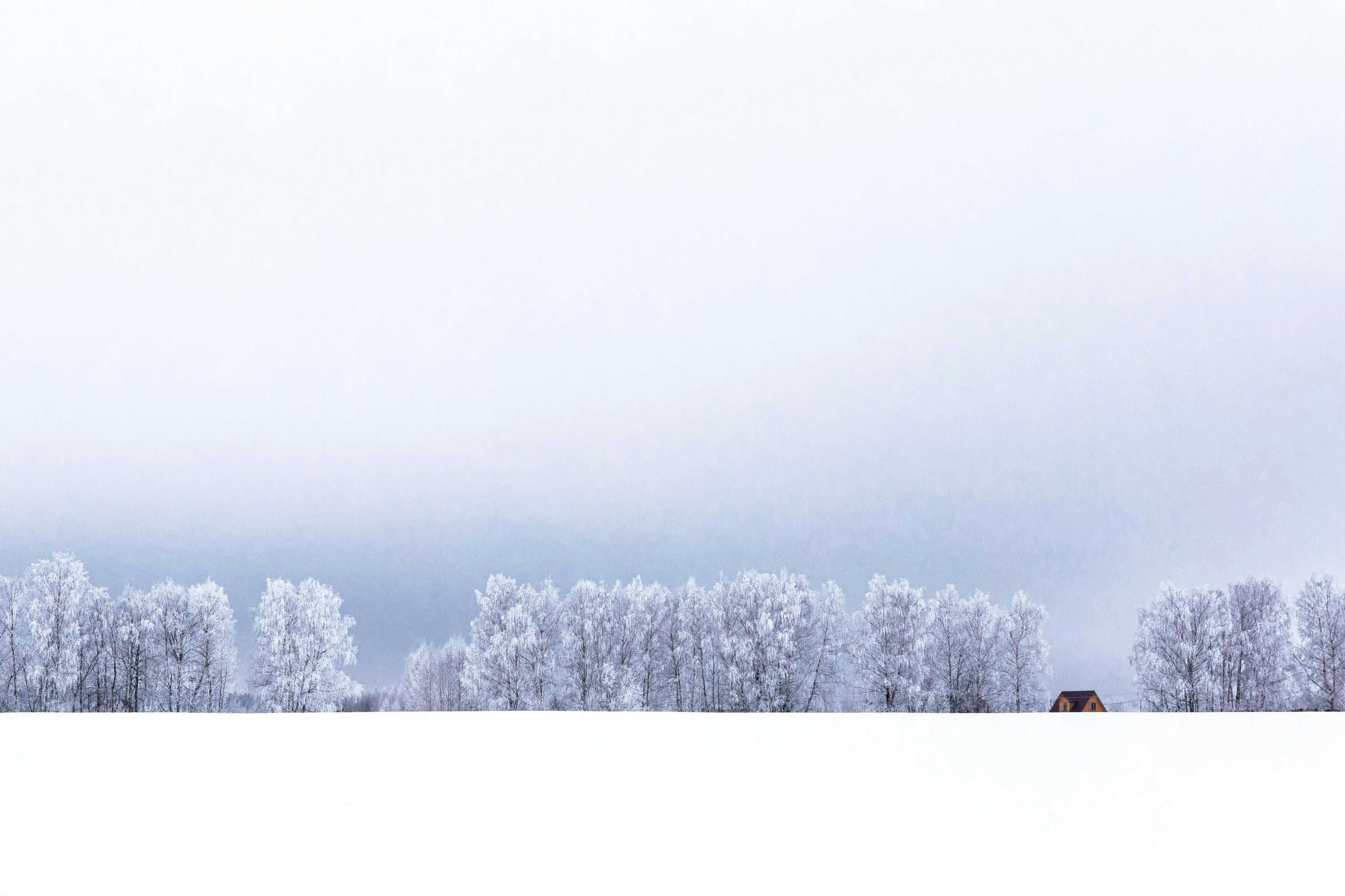 brown house on snow covered ground