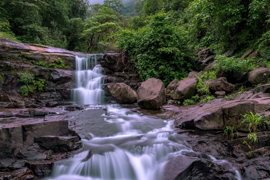 A full-flowing waterfall cascading through green forest at Malshej Ghat in Maharashtra