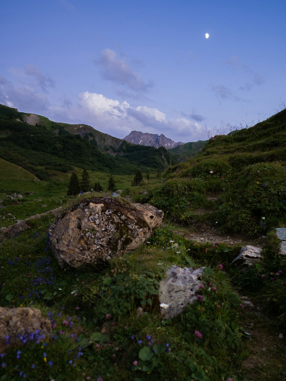 brown rock on green grass field during daytime