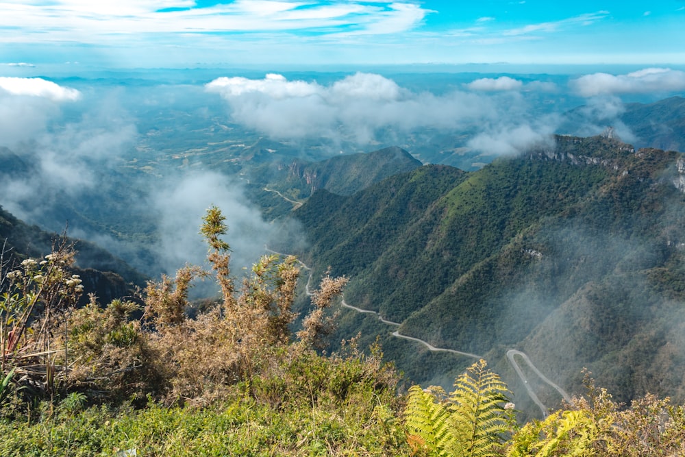 green trees on mountain under blue sky during daytime