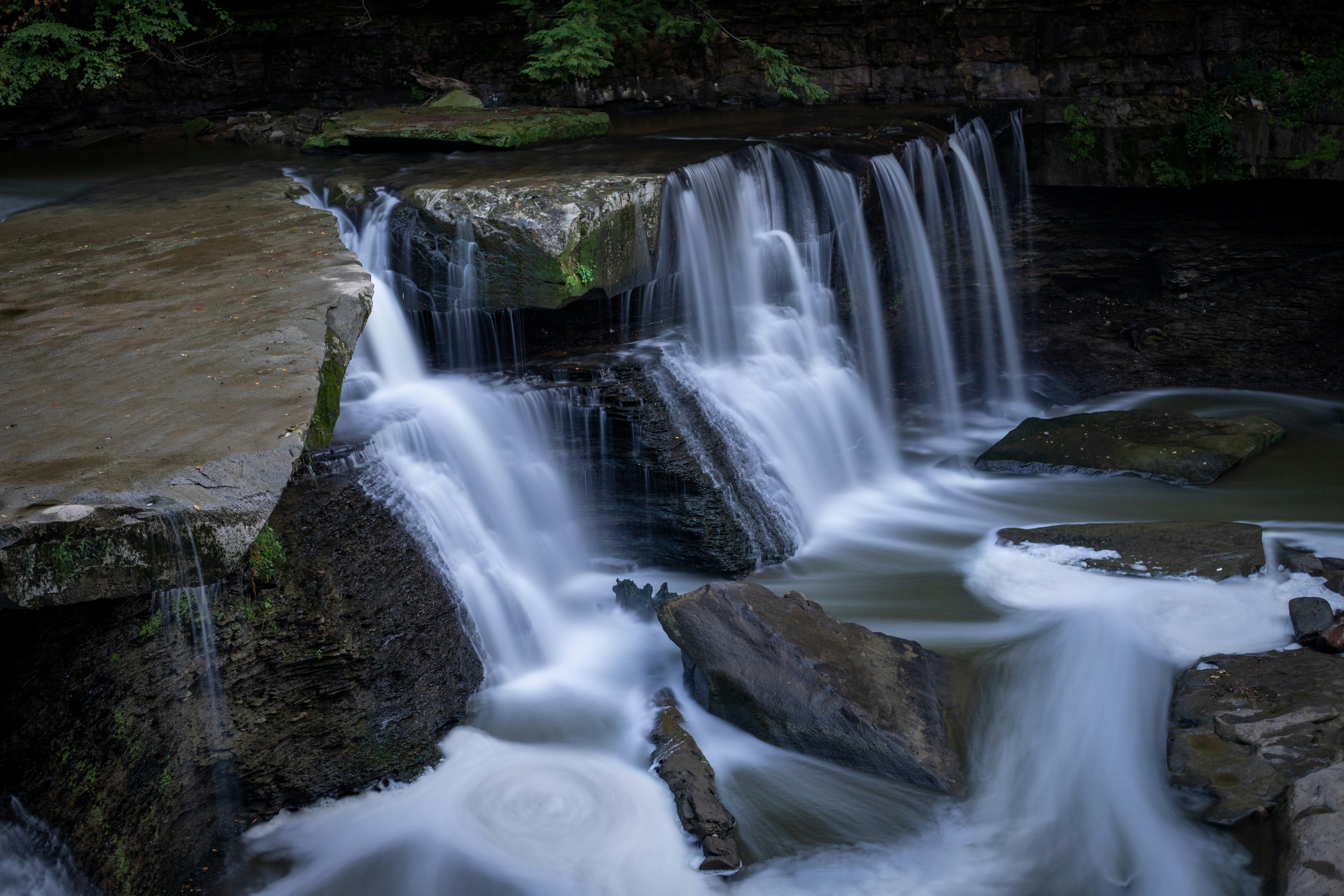 Photo by drkolomiyets