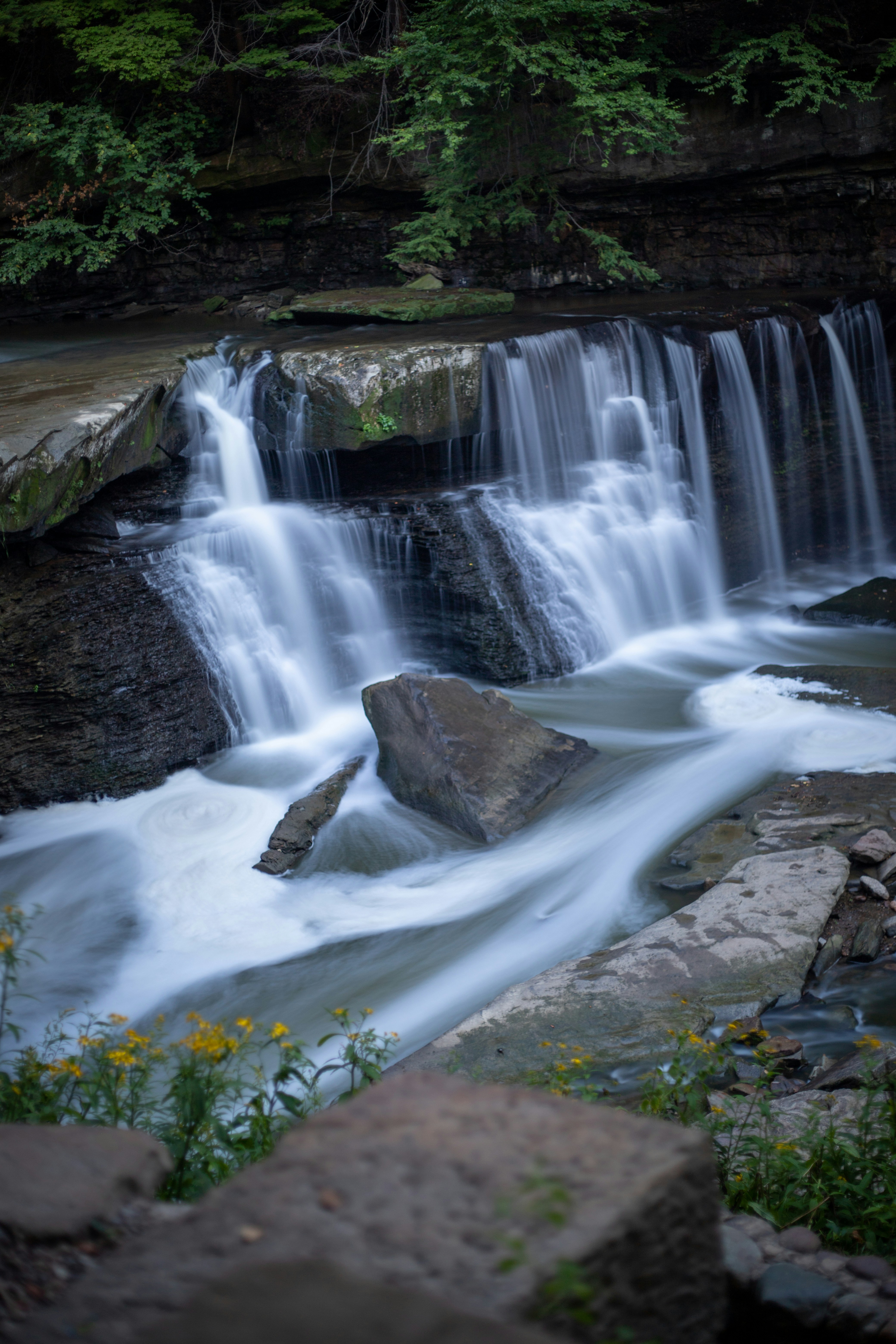 Photo by drkolomiyets