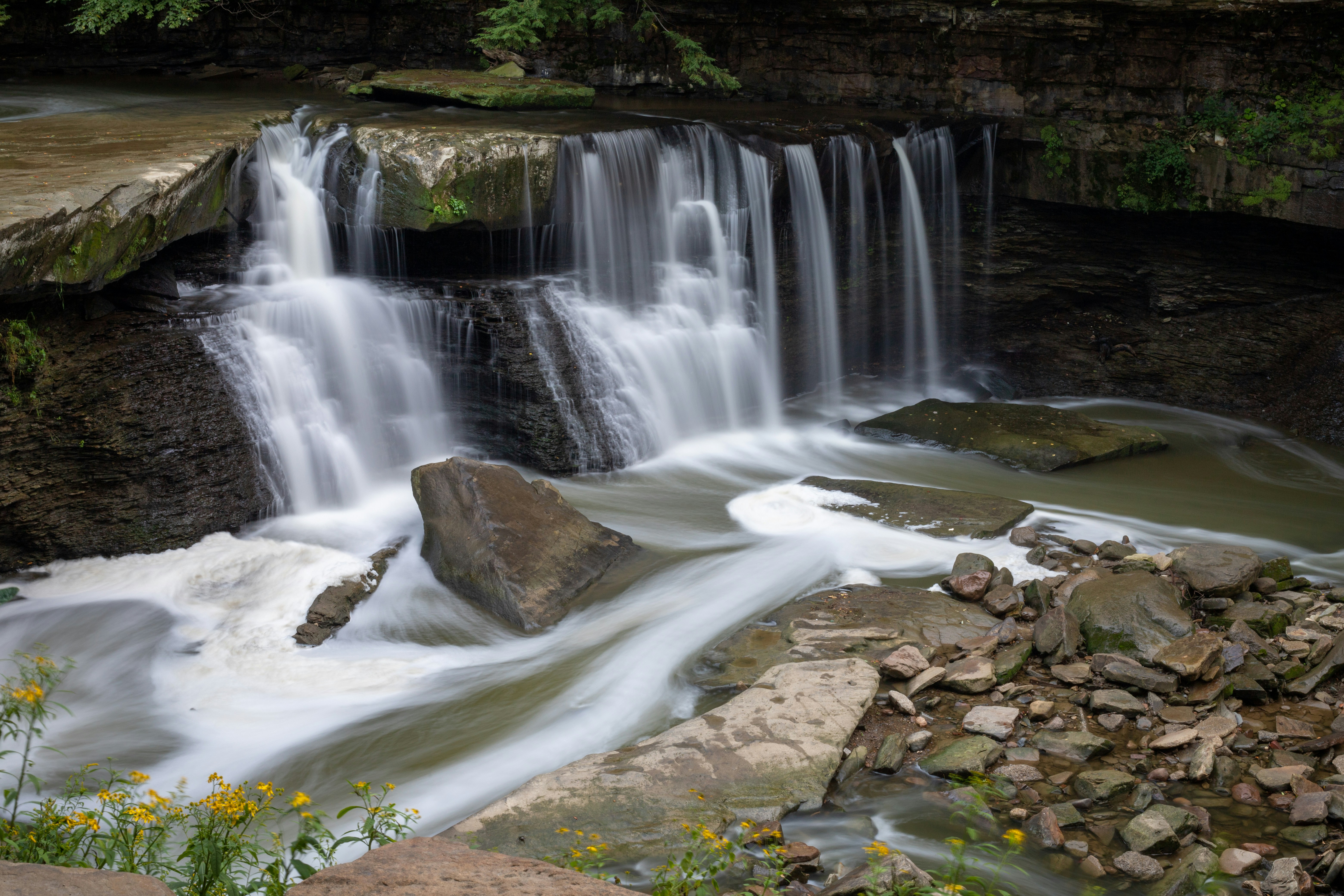 Photo by drkolomiyets